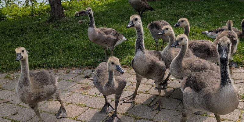 Contact Us - Greenbelt Outdoors